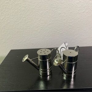 Cypress Home Watering Can Salt & Pepper Shakers Stainless Steel Garden